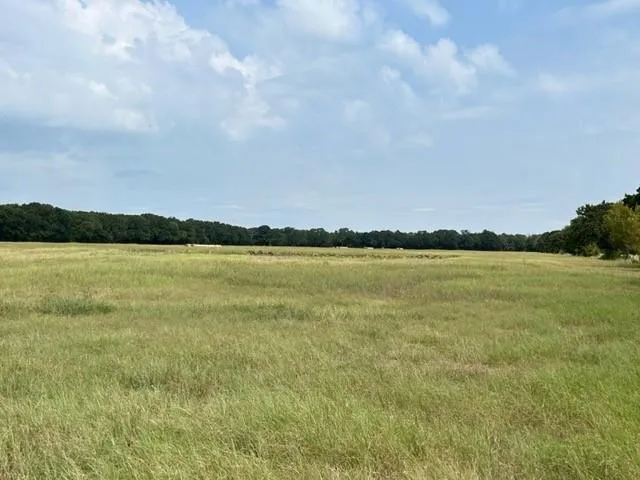 a view of an ocean and beach