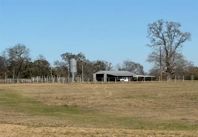 a view of an ocean with trees
