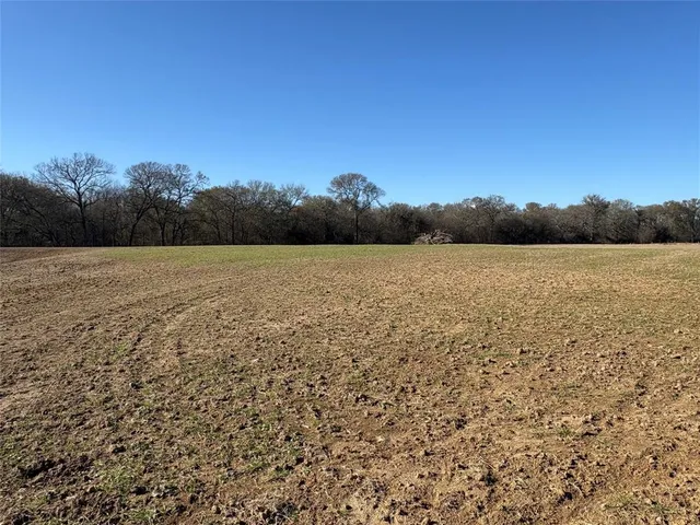 a view of an ocean beach