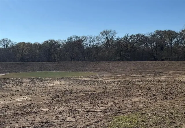 a view of a field with trees in the background