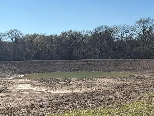a view of a swimming pool with a yard