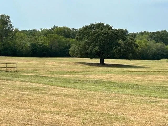 a view of an ocean beach