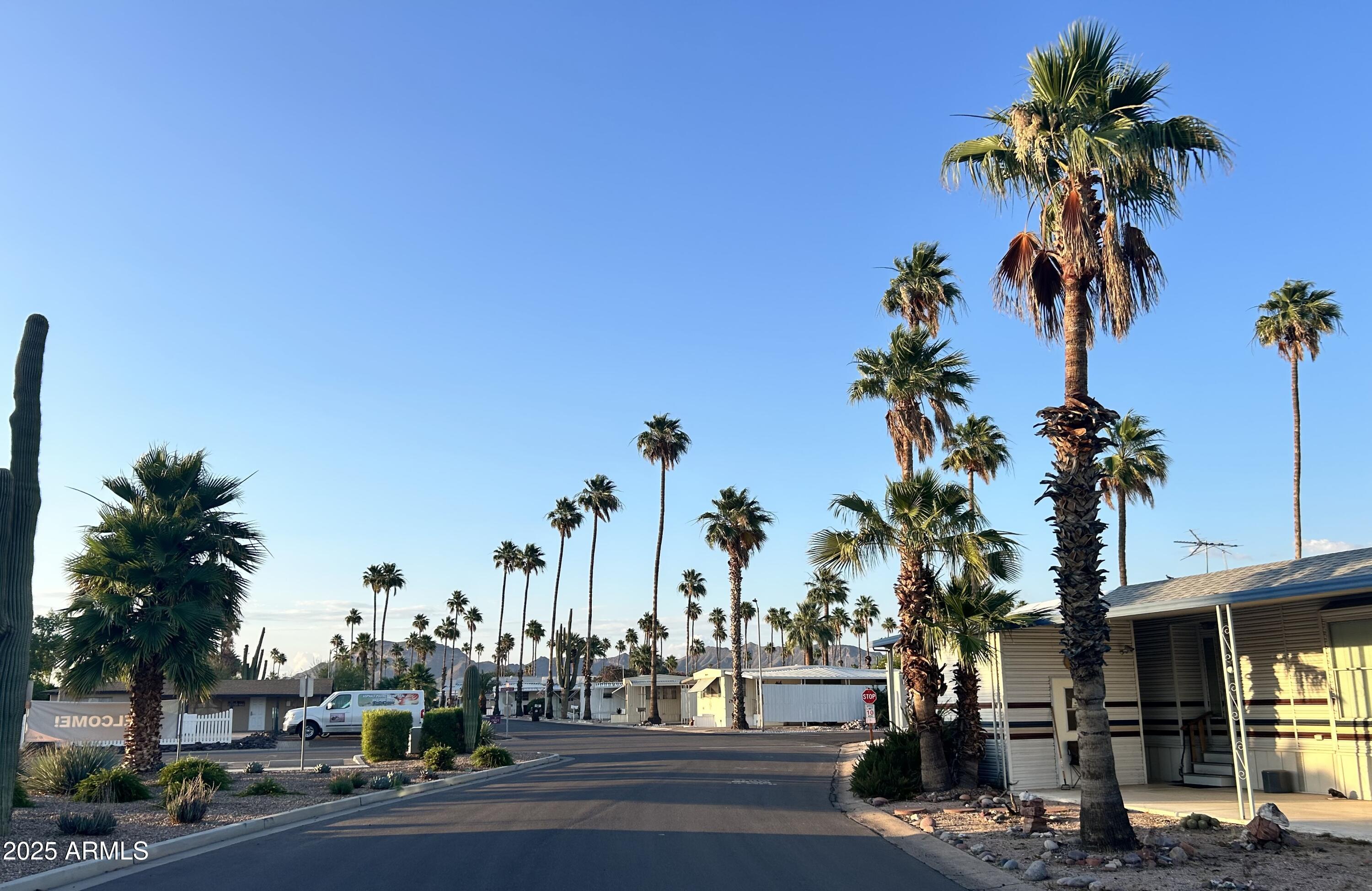 10540 East Apache Trail, Unit 50 Apache Junction, AZ 85120 - Photo 30 of 32 a view of a street with palm trees