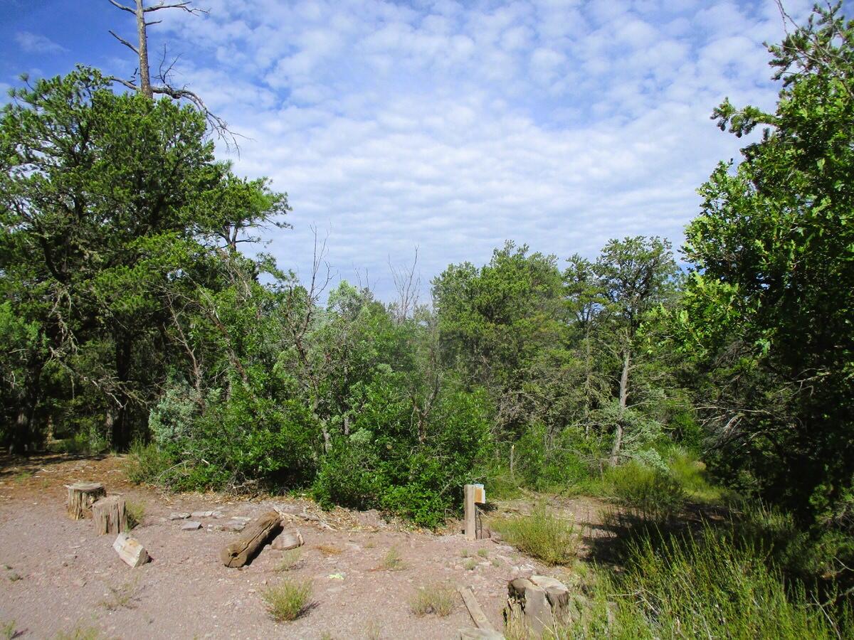 5-6 Black Bear Road Ramah, NM 87321 - Photo 53 of 64 Gallery Image 53