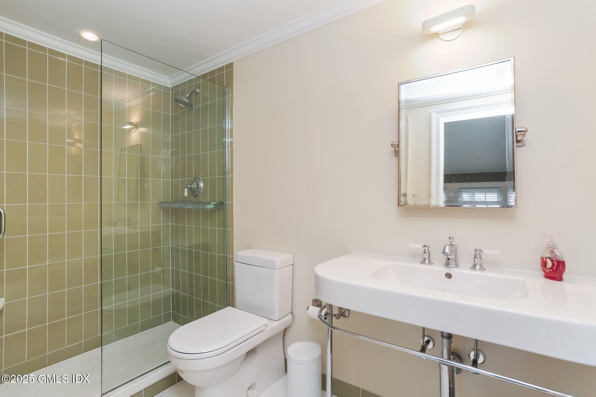 1007 King Street Greenwich, CT 06831 - Photo 39 of 71 a bathroom with a sink a toilet and shower