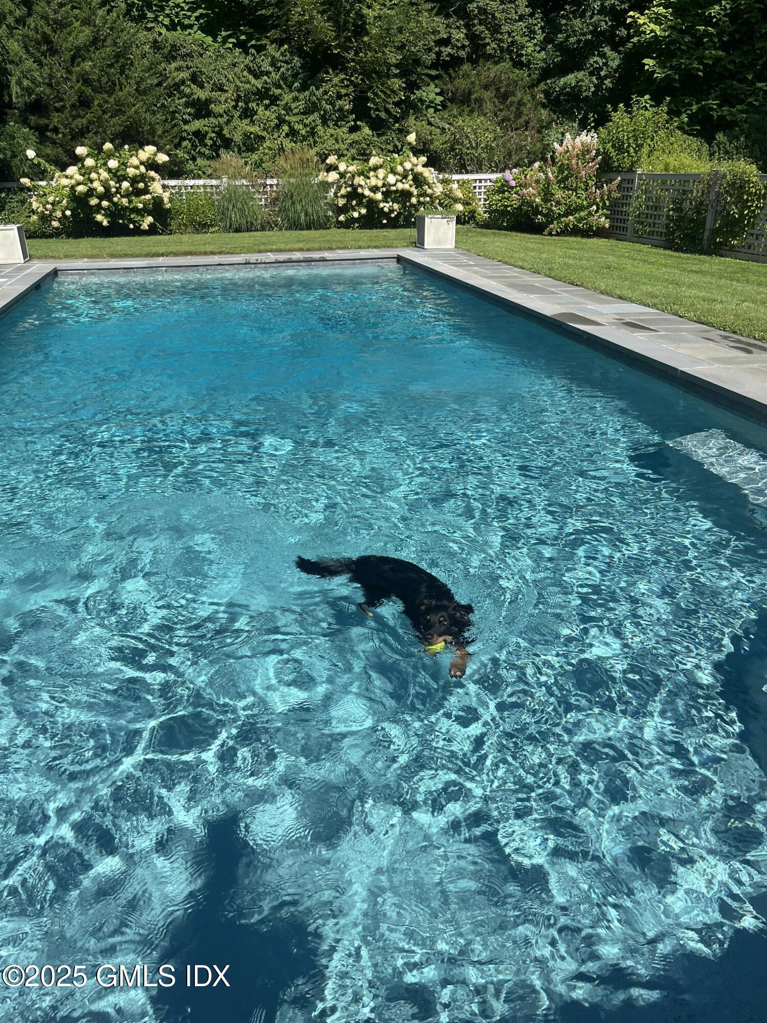 1007 King Street Greenwich, CT 06831 - Photo 67 of 71 IMG_6672