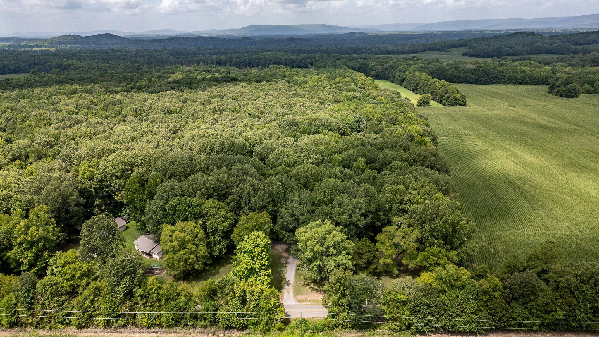 5001 County Road 491 Stevenson, AL 35772 - Photo 11 of 12 20240802183557733909000000-o