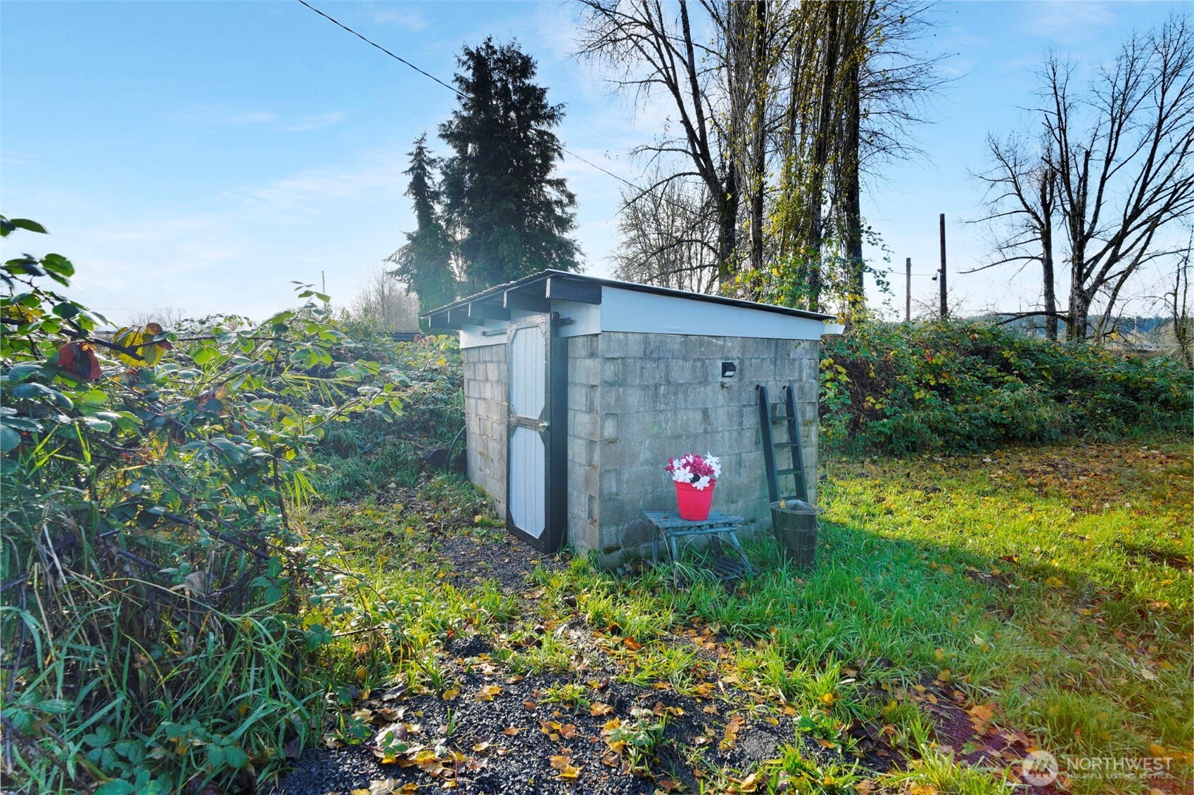 115 Bunker Creek Road Chehalis, WA 98532 - Photo 12 of 17 a view of a white house with a small yard and potted plants