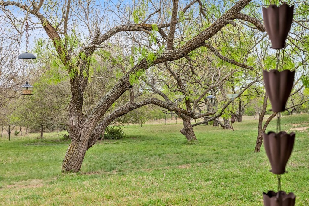 1503 Funf Kinder Road Fredericksburg, TX 78624 - Photo 59 of 70