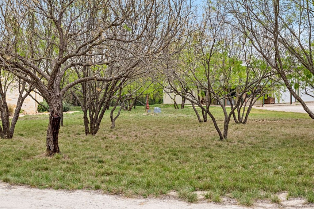 1503 Funf Kinder Road Fredericksburg, TX 78624 - Photo 60 of 70