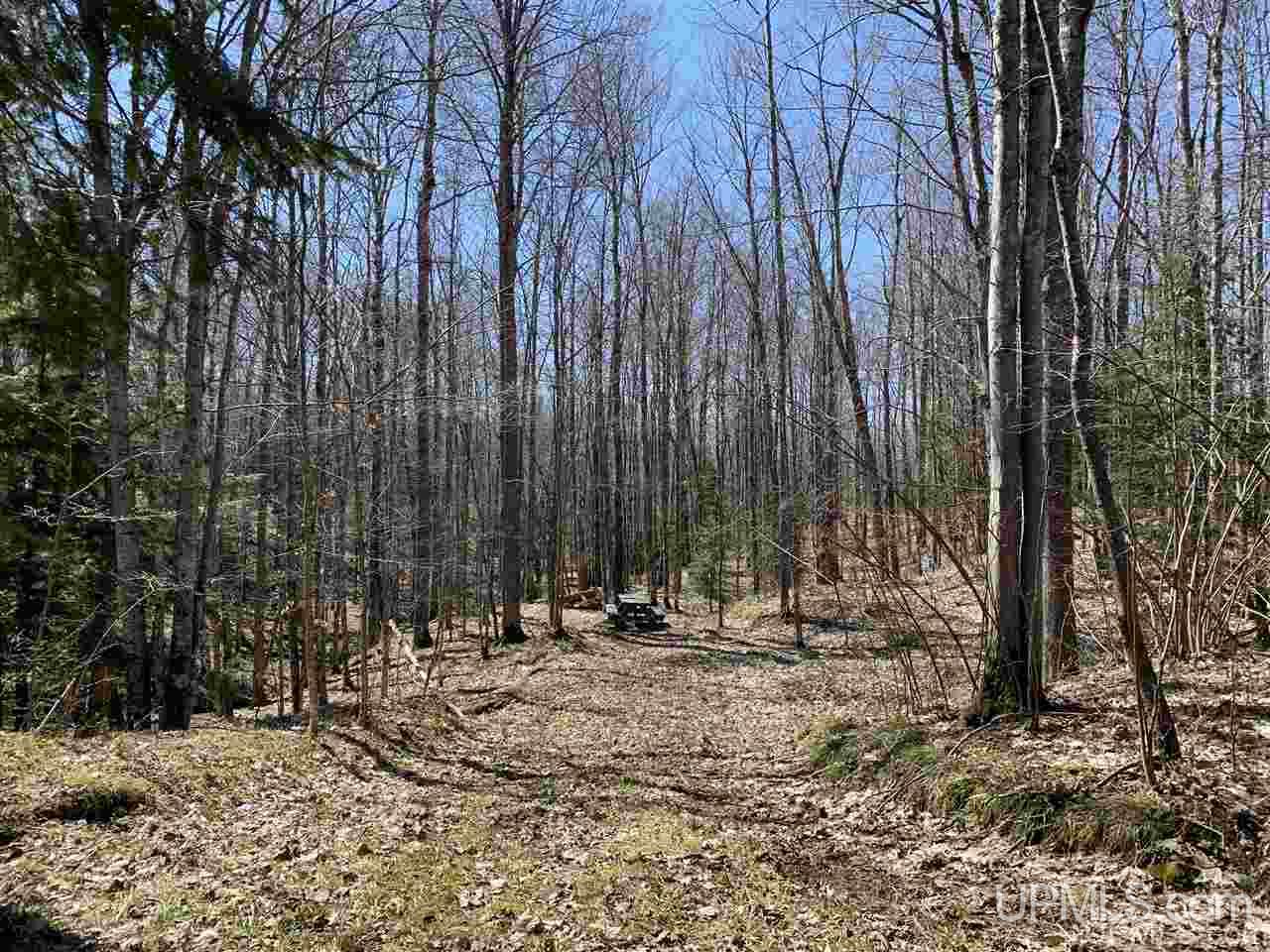 16364 Indian Cemetery Road Lanse, MI 49946 - Photo 44 of 47 Gallery Image 44