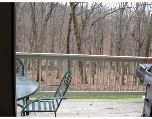 529 Hunters Path Road Bridgeville, PA 15017 - Photo 2 of 18 Patio/Deck. View from Living Room Door. Nothing but woods behind you.