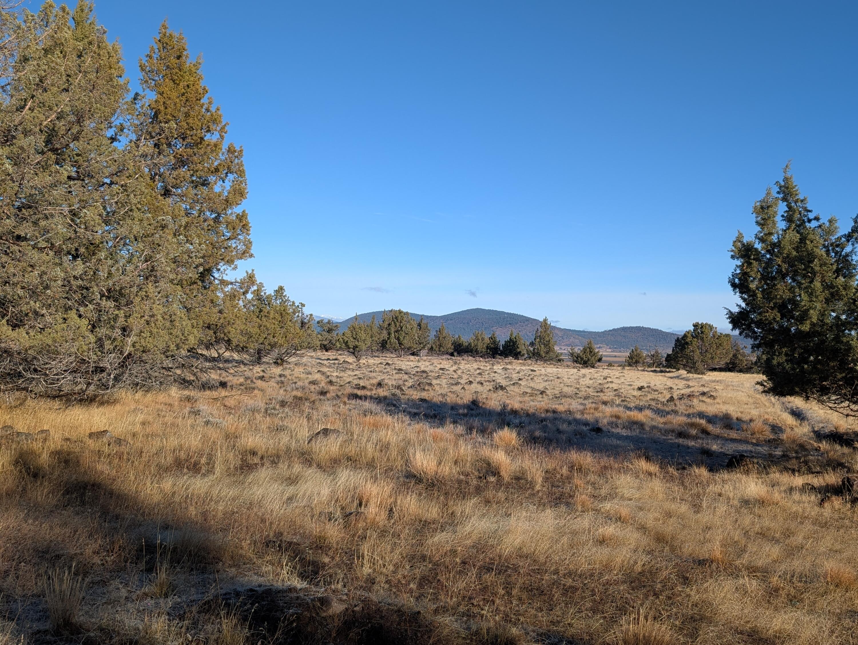 Cedar Trail Klamath Falls, OR 97603 - Photo 24 of 24 PXL_20251027_163057934