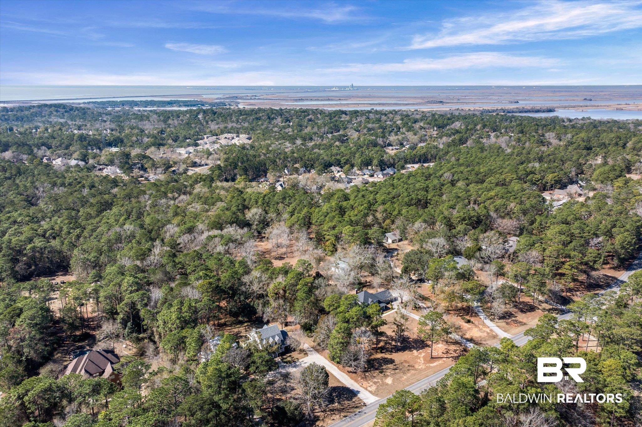 31369 Blakeley Way Daphne, AL 36527 - Photo 24 of 38 Aerial view of property's location with a forest
