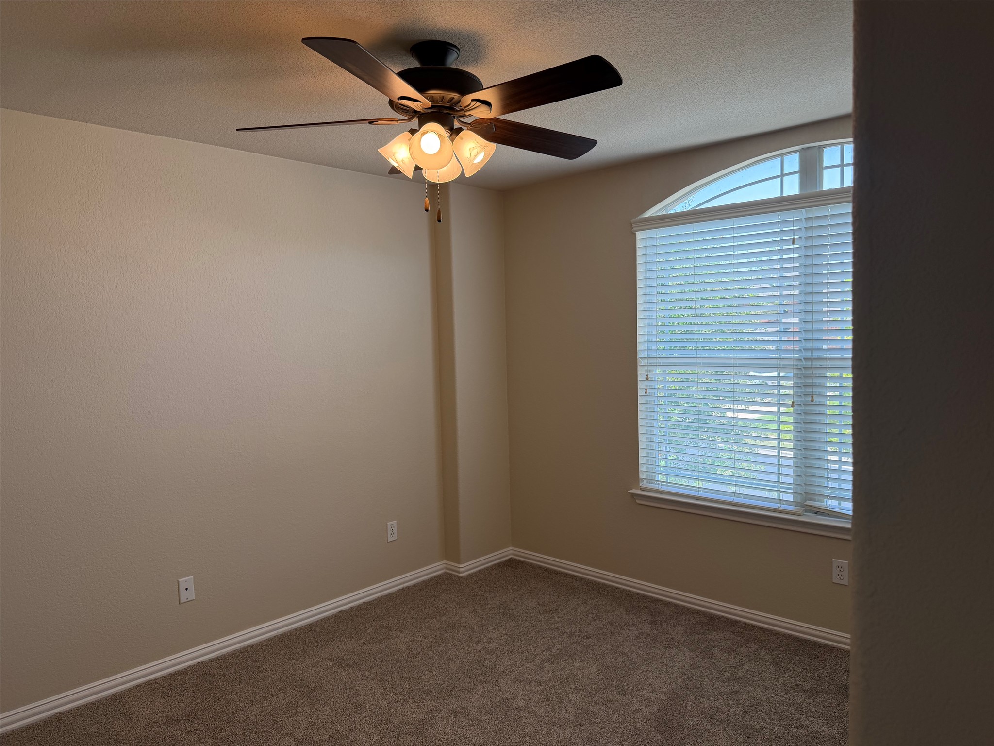 3021 Grand Mission Way Pflugerville, TX 78660 - Photo 28 of 31 A quiet bedroom offers comfort with soft carpeting and an arched window for natural illumination.