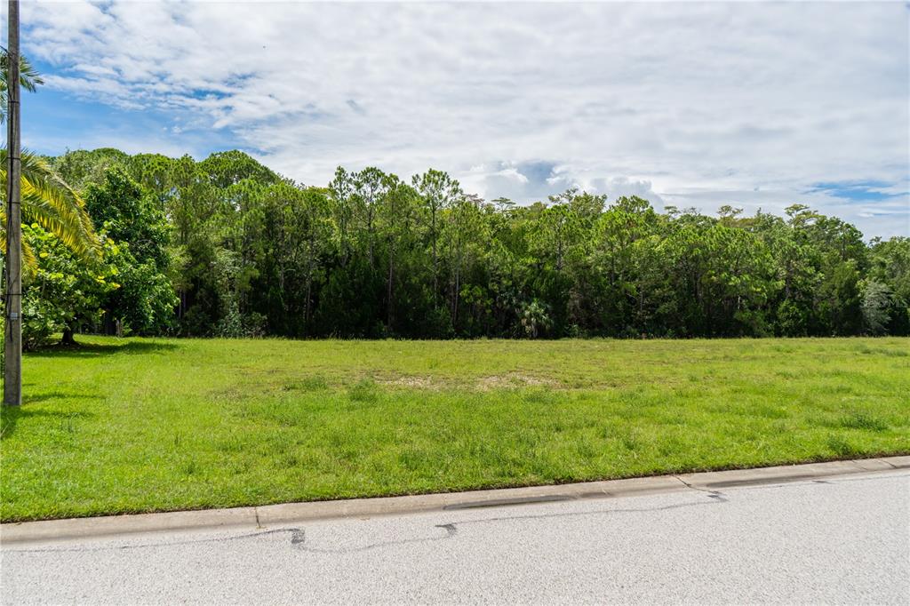 4050 Jewfish Drive Spring Hill, FL 34607 - Photo 14 of 37