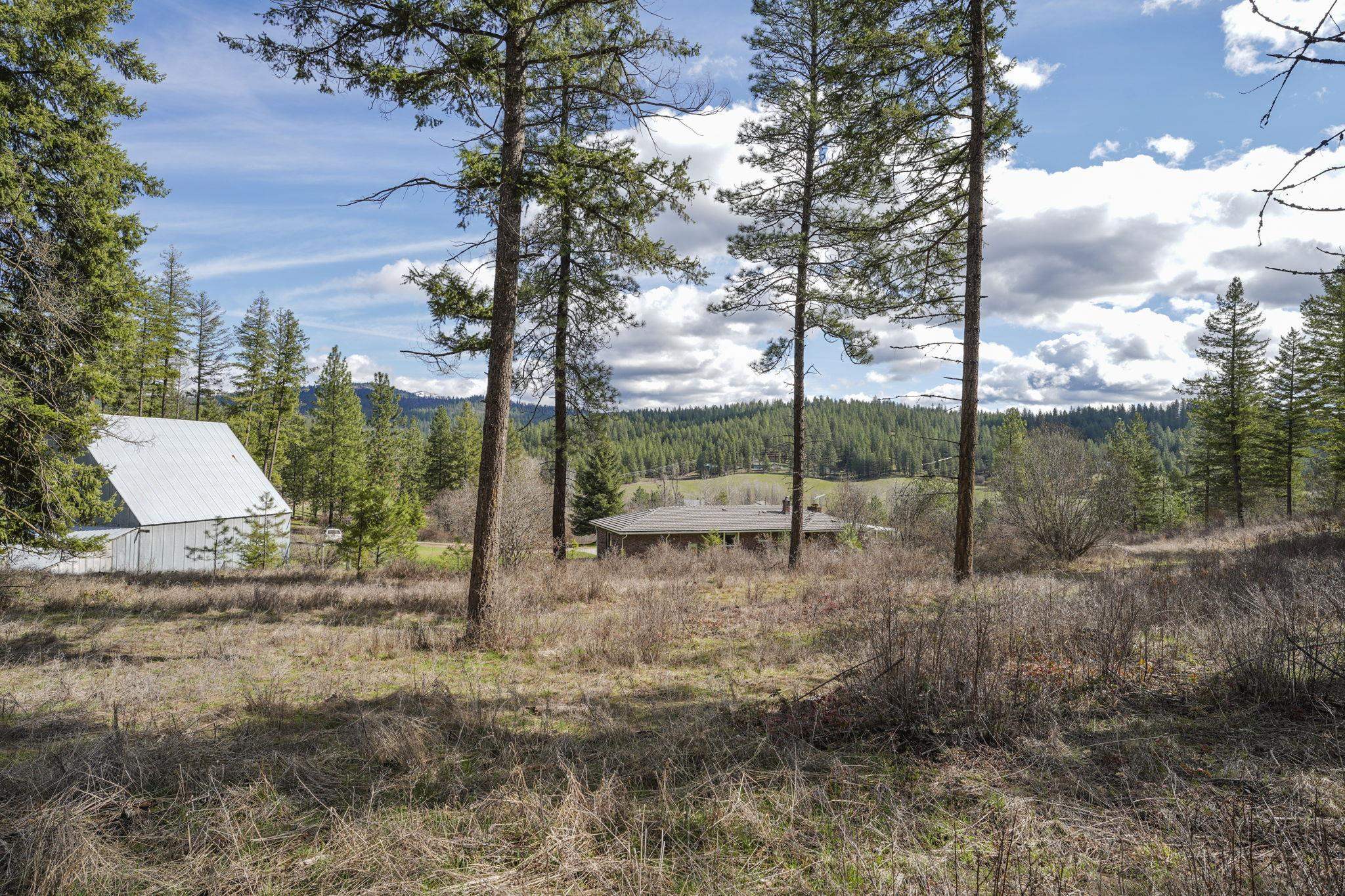 12904 East Sillman Road Mead, WA 99021 - Photo 38 of 50