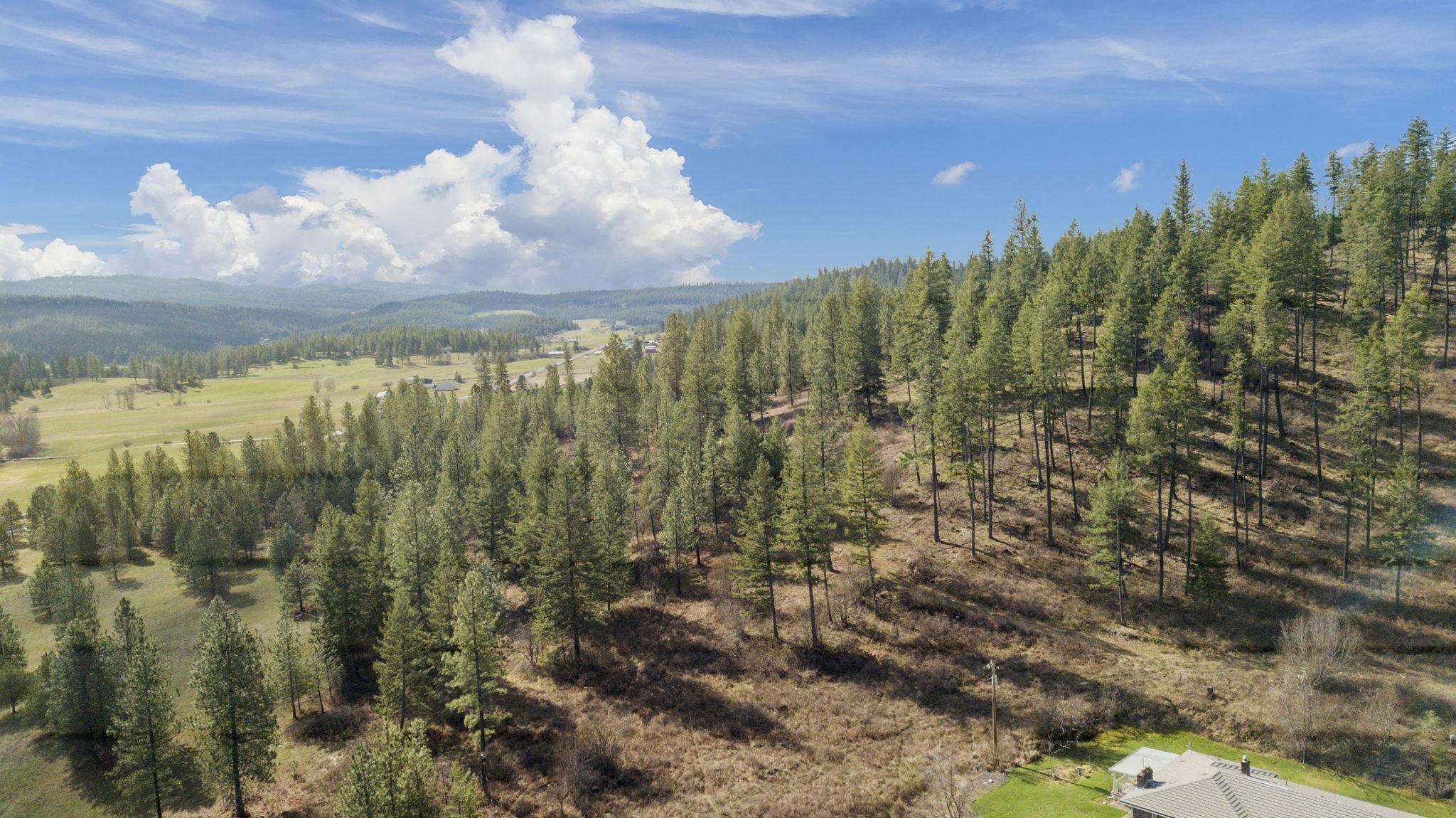 12904 East Sillman Road Mead, WA 99021 - Photo 47 of 50