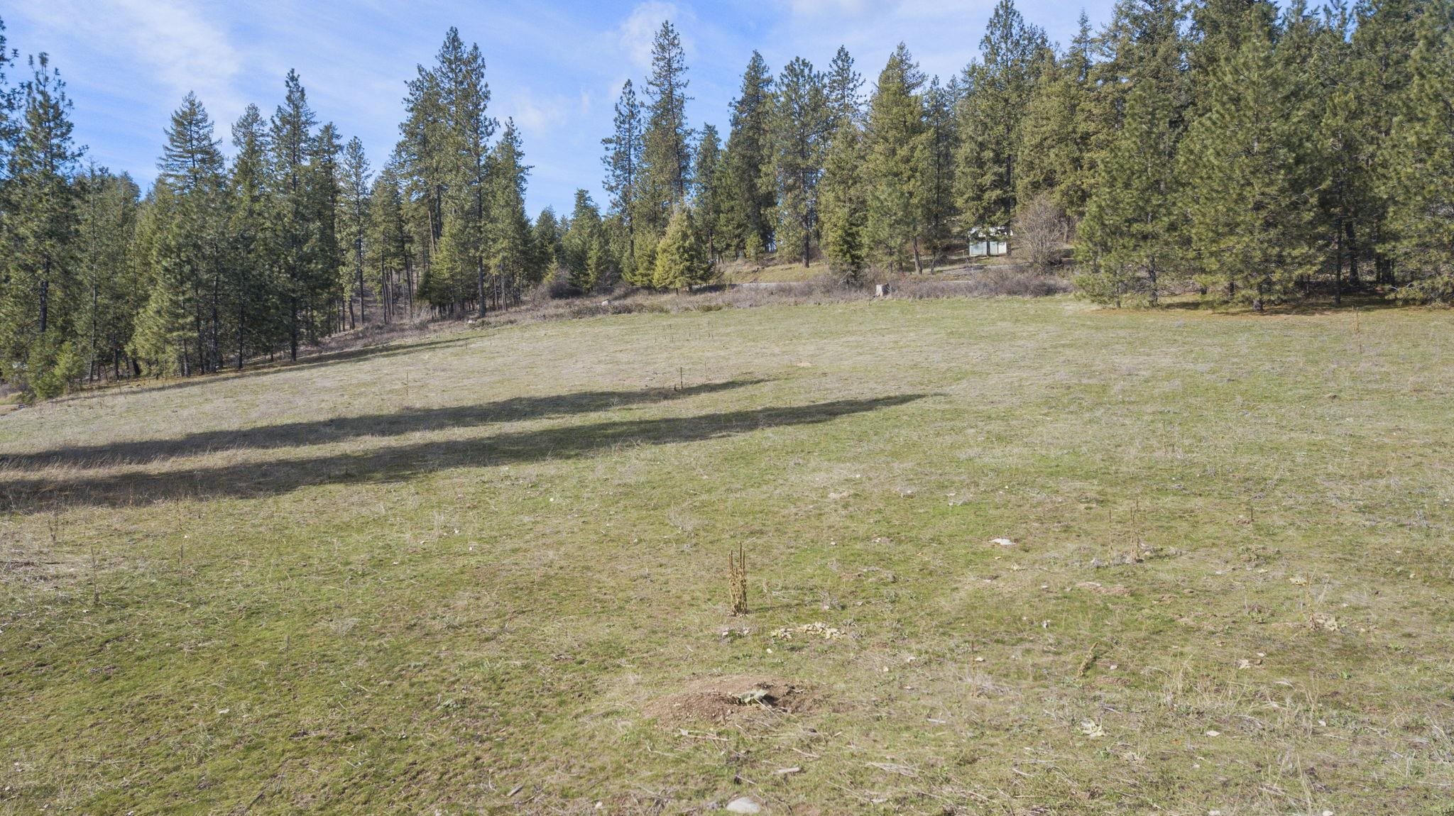 12904 East Sillman Road Mead, WA 99021 - Photo 48 of 50