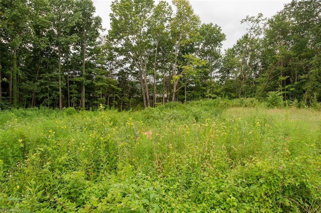 4954 Home Road Northwest Winston-Salem, NC 27106 - Photo 2 of 4