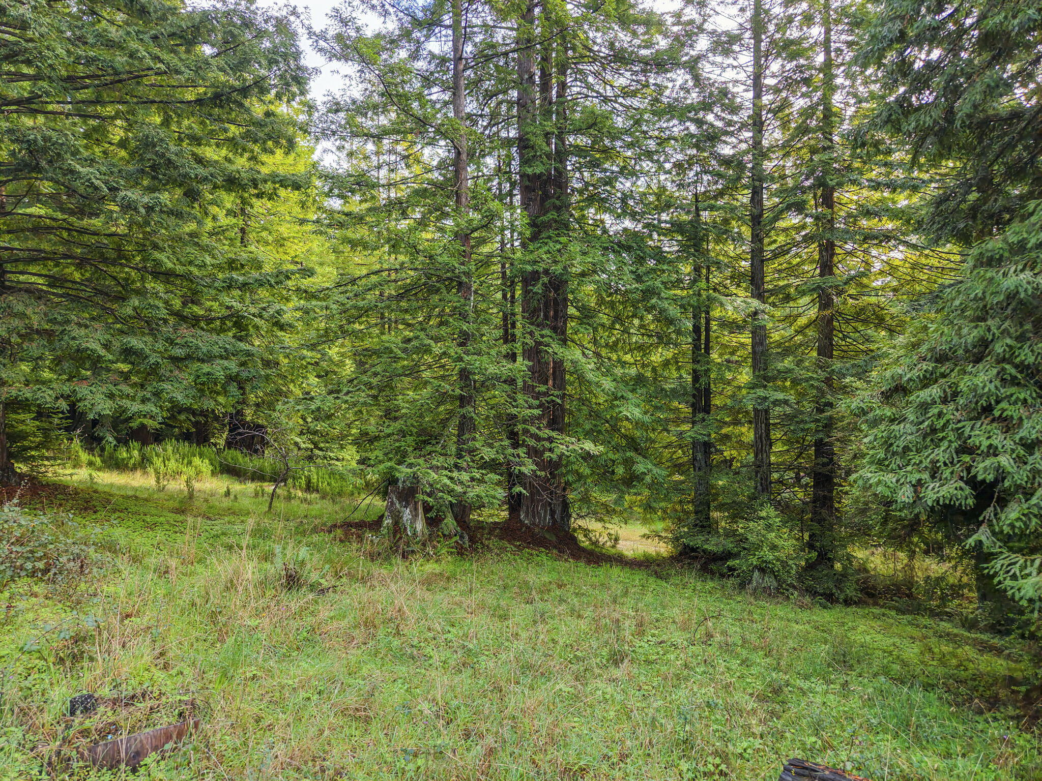 4928 Cummings Road Eureka, CA 95503 - Photo 25 of 41