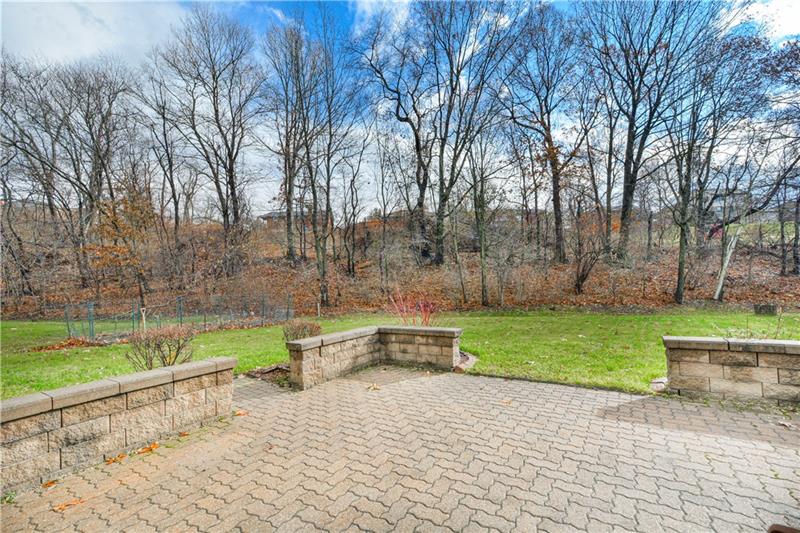 704 McClellan Court McKees Rocks, PA 15136 - Photo 22 of 24 Patio/Back Yard