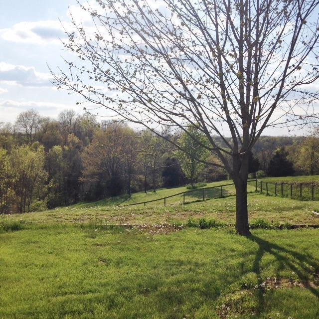 3115 Greenville Road Dry Ridge, KY 41035 - Photo 19 of 20
