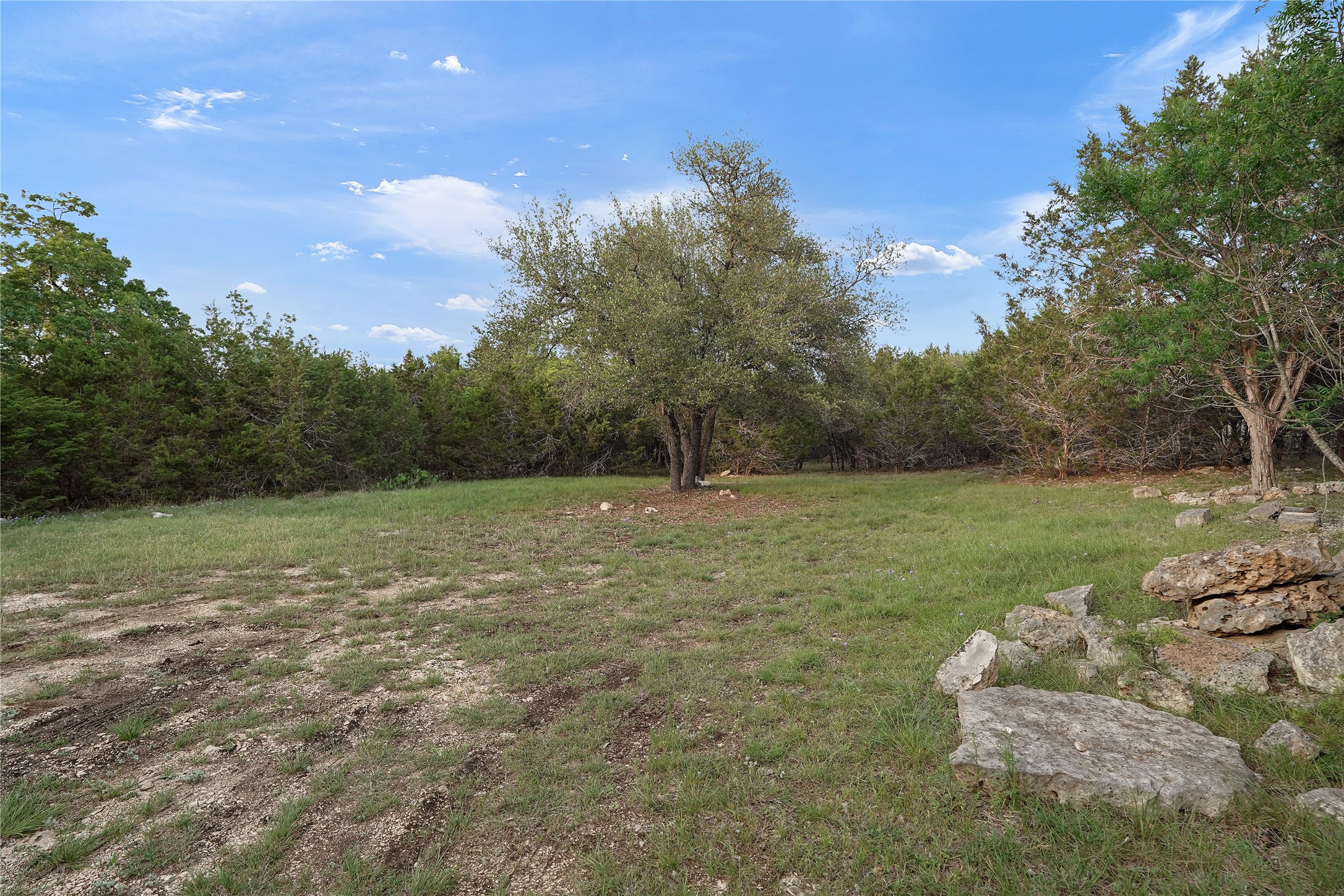786 Beauchamp Road Dripping Springs, TX 78620 - Photo 27 of 40 The property features a spacious grassy area surrounded by mature trees, with scattered rocks visible on the ground