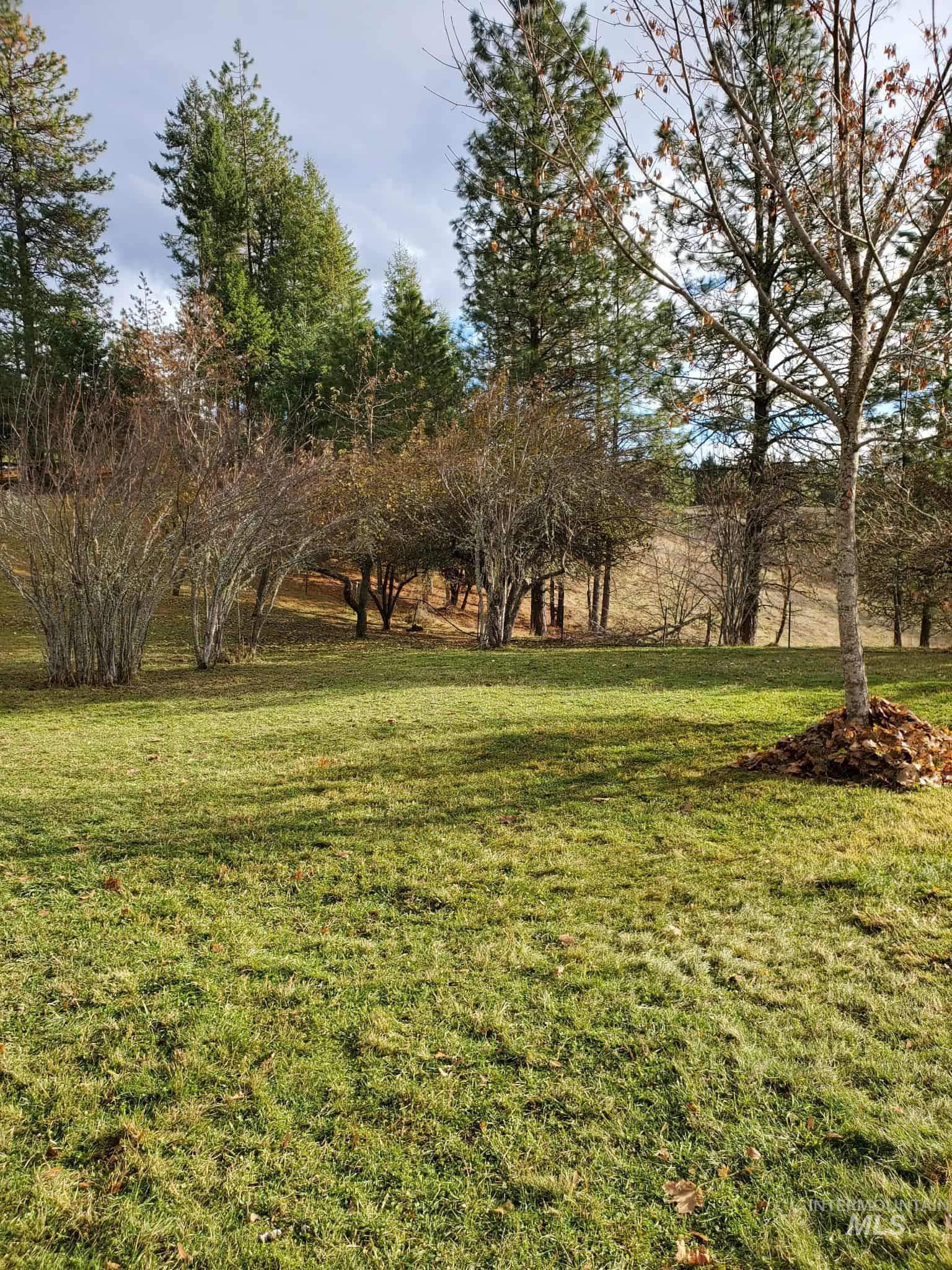 386 Big Cedar Road Kooskia, ID 83539 - Photo 22 of 25