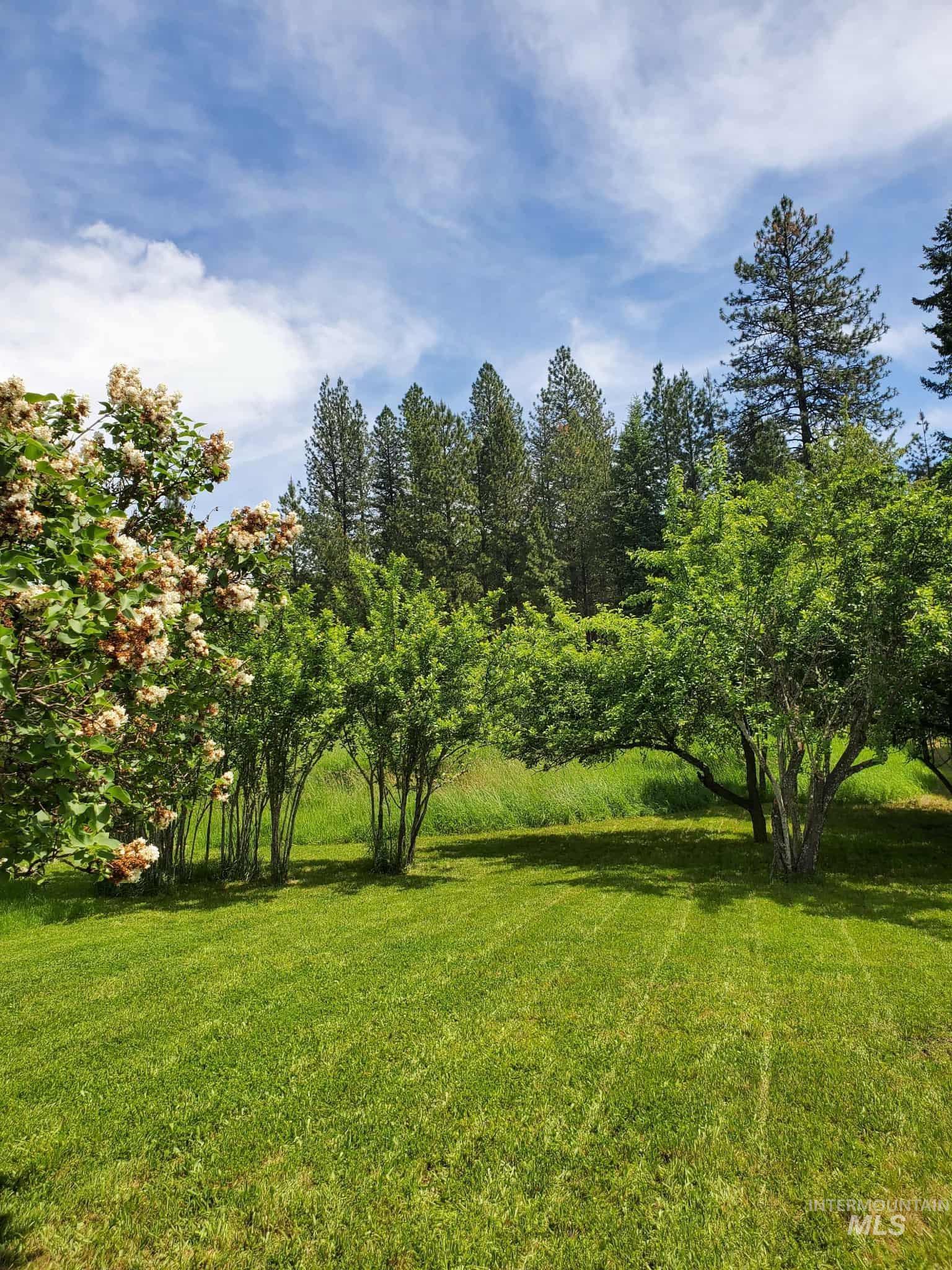 386 Big Cedar Road Kooskia, ID 83539 - Photo 23 of 25