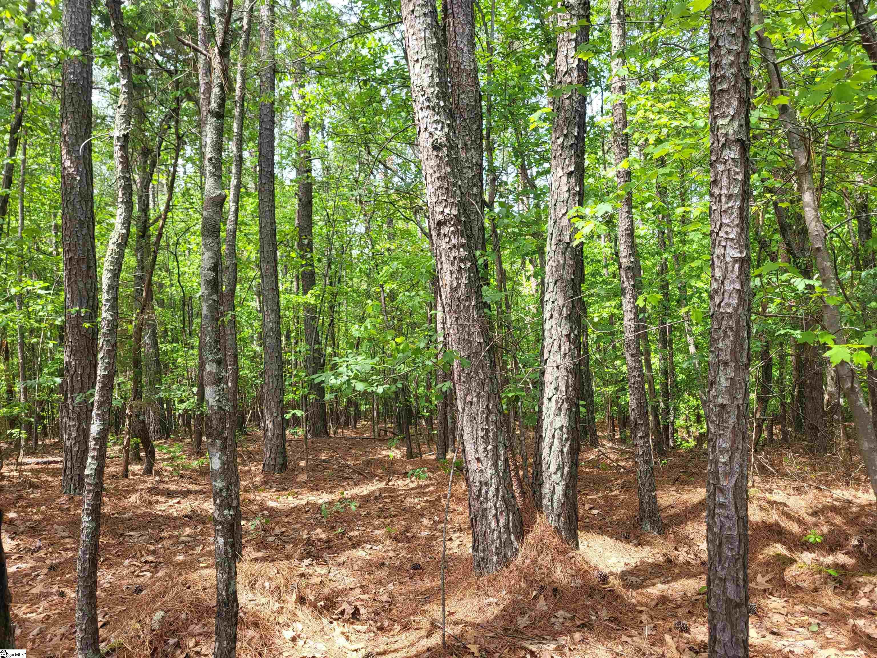 0 Courtney Road Cowpens, SC 29330 - Photo 2 of 6