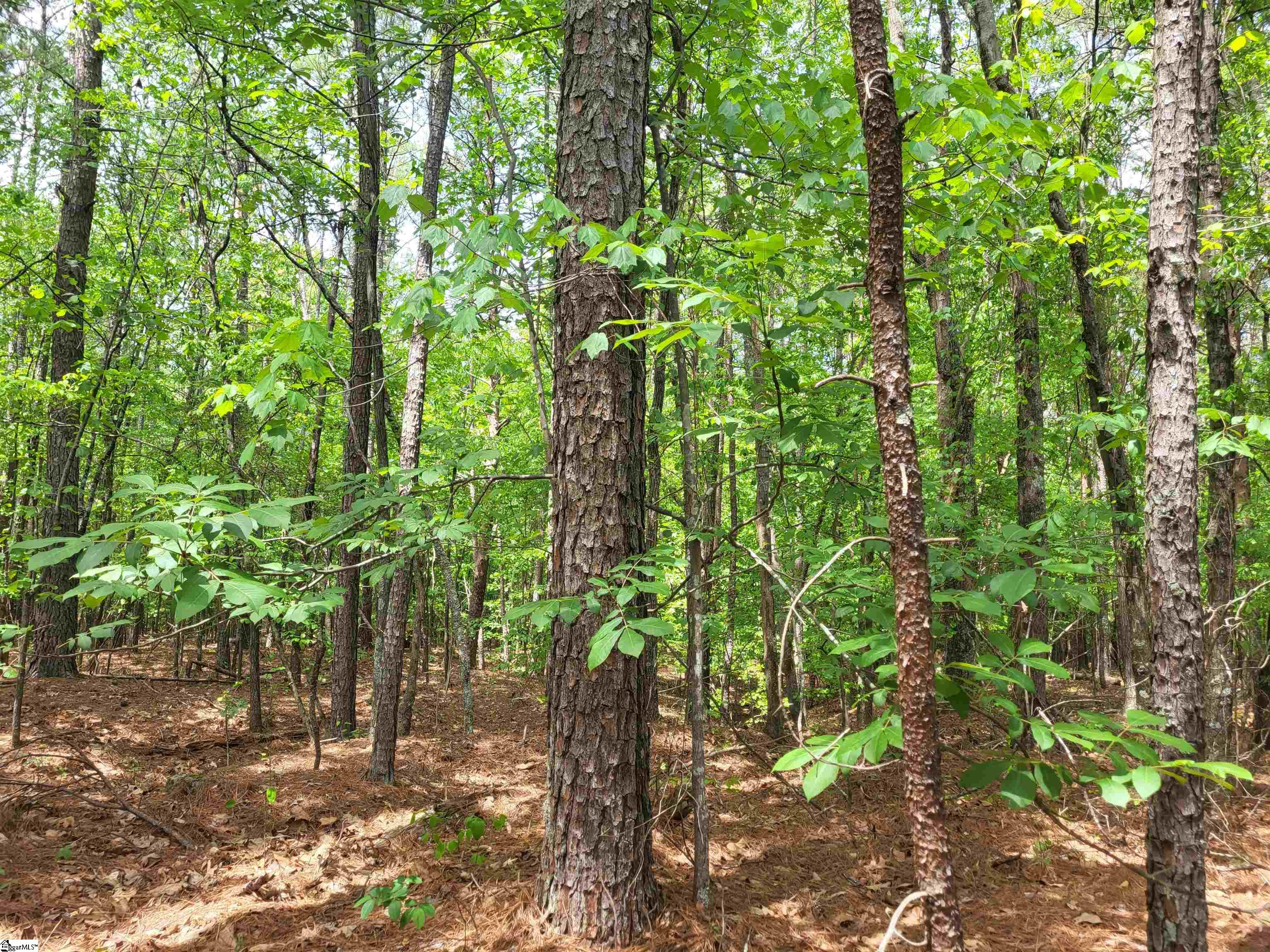 0 Courtney Road Cowpens, SC 29330 - Photo 3 of 6