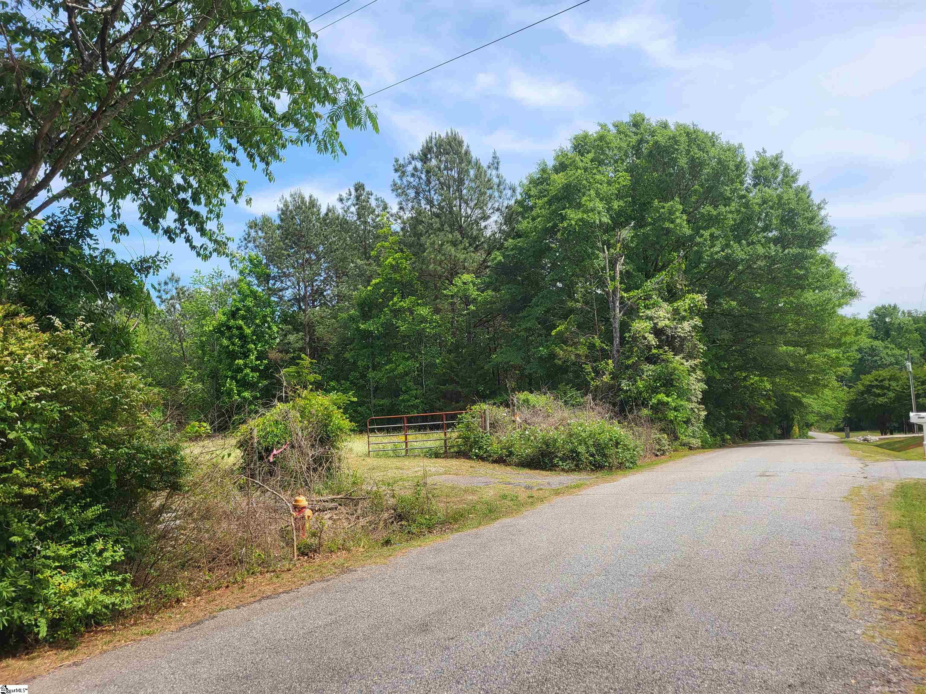 0 Courtney Road Cowpens, SC 29330 - Photo 4 of 6