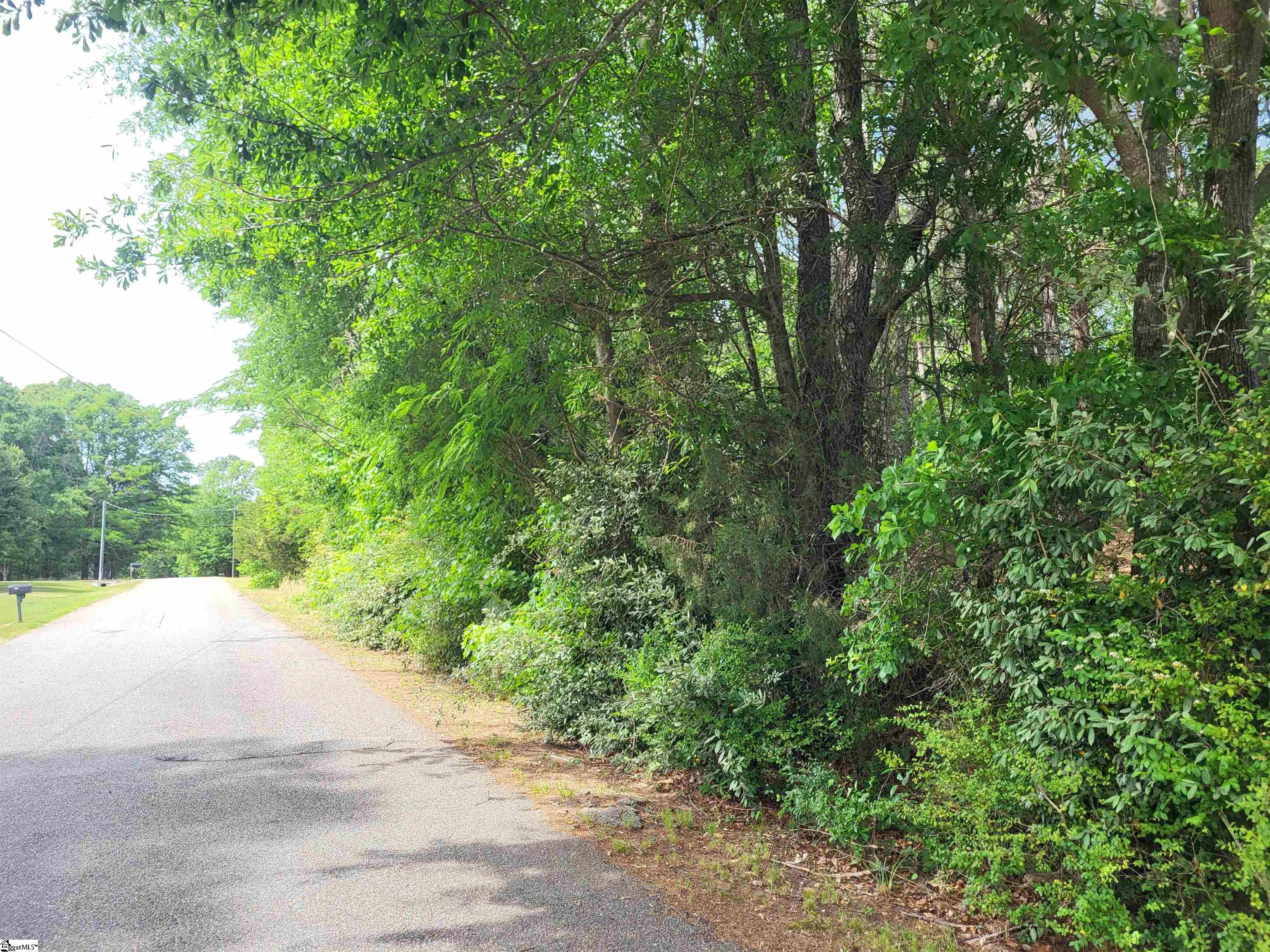 0 Courtney Road Cowpens, SC 29330 - Photo 5 of 6