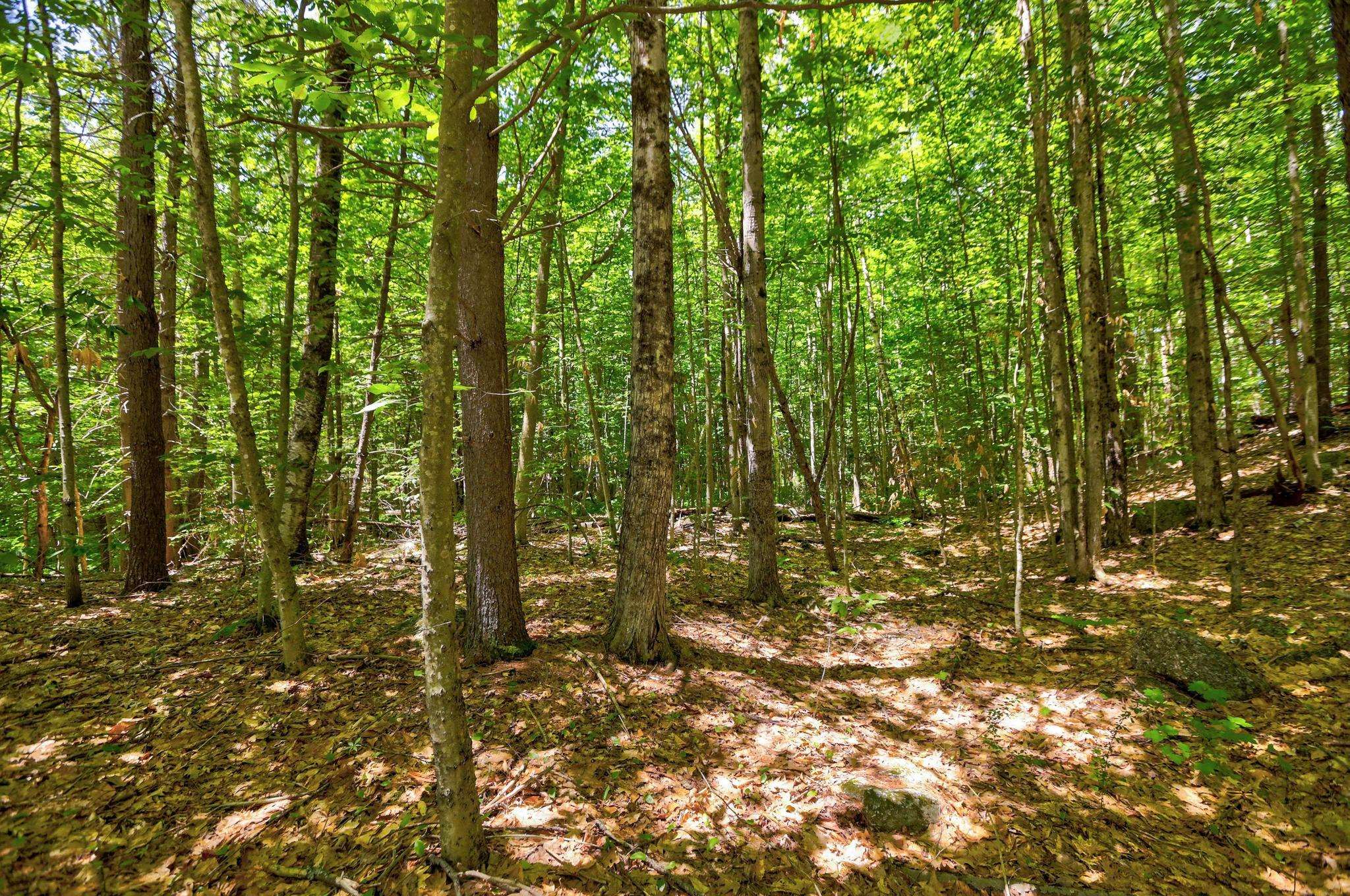 Lot 12-2 Needle Eye Road Meredith, NH 03253 - Photo 20 of 22