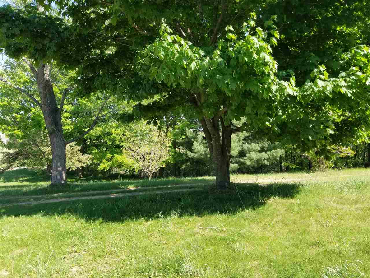 7100 Van Pelt Road Kingsley, MI 49649 - Photo 14 of 36 1848505-13.JPG