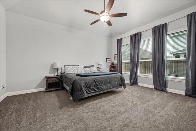 a living room with furniture ceiling fan and a rug