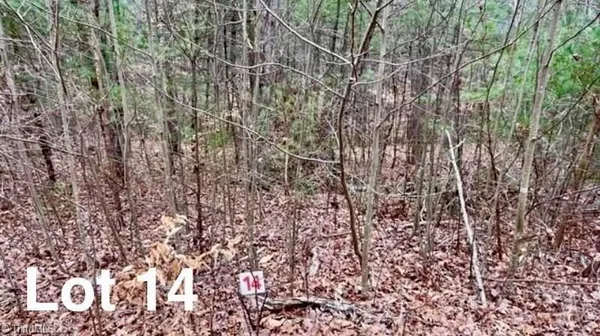 $29,999 | Lot 14 Woods Haven Lane, Stuart, VA 24171