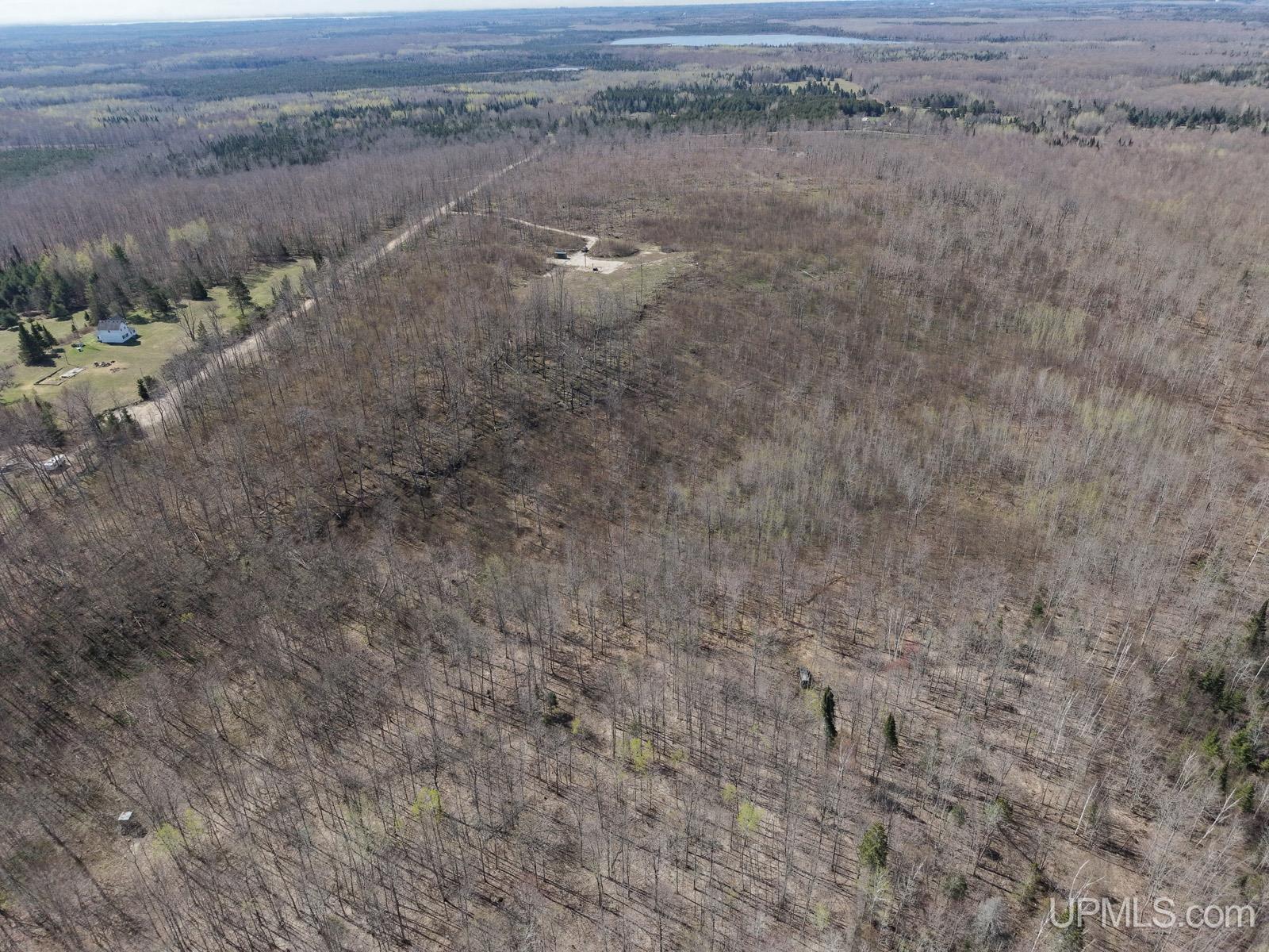 2493 Letson Road Gulliver, MI 49840 - Photo 13 of 56