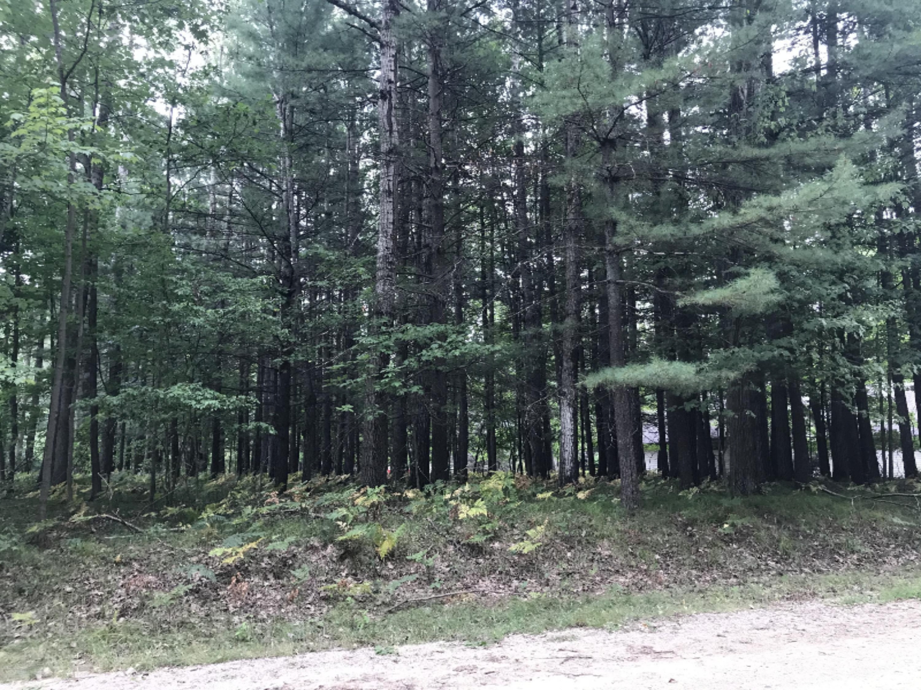 6748 Beechnut Ridge, Unit 242 Canadian Lakes, MI 49346 - Photo 1 of 8 IMG-7870