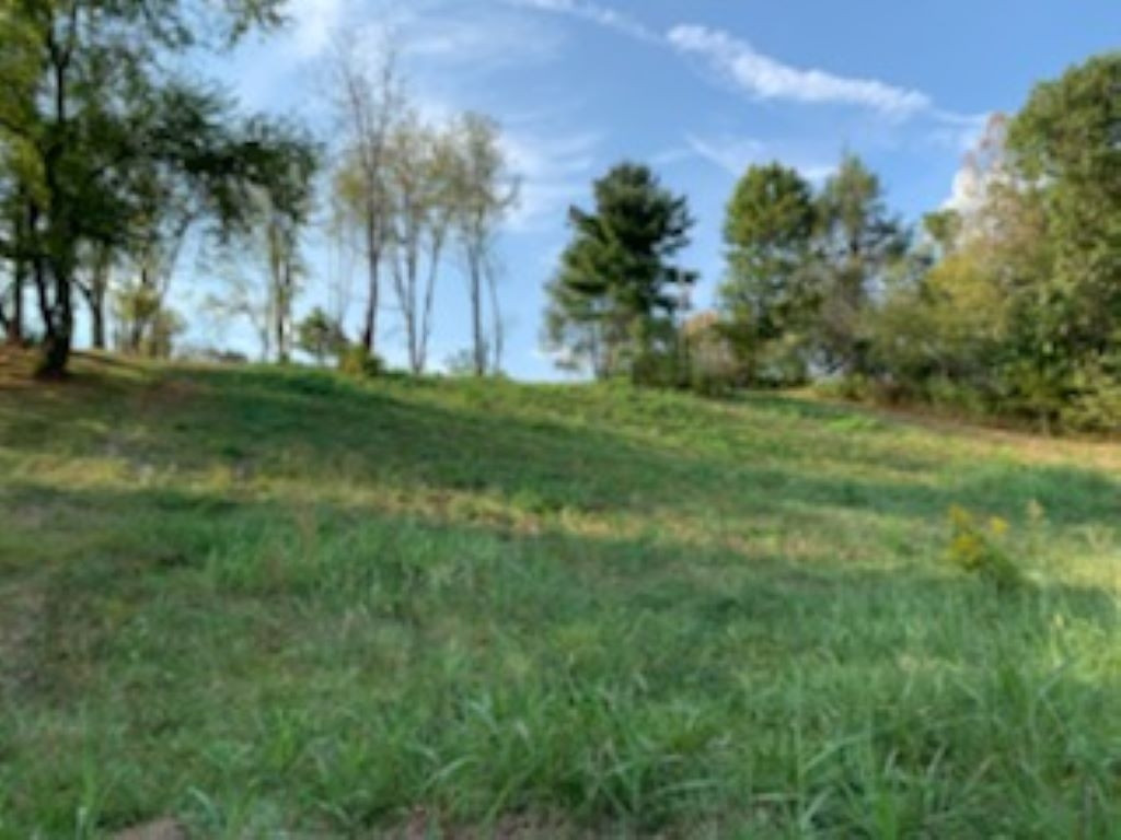 0 Shell Road, Unit P12 Jonesborough, TN 37659 - Photo 3 of 4 Photo 3