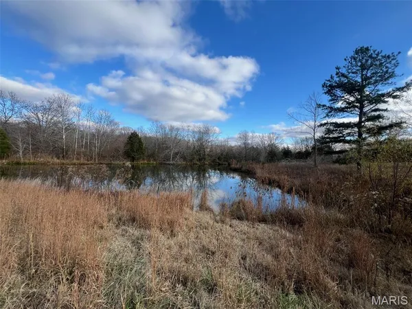 $114,000 | 3146 County Road T-1, Fairdealing, MO 63939