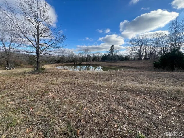 $114,000 | 3146 County Road T-1, Fairdealing, MO 63939