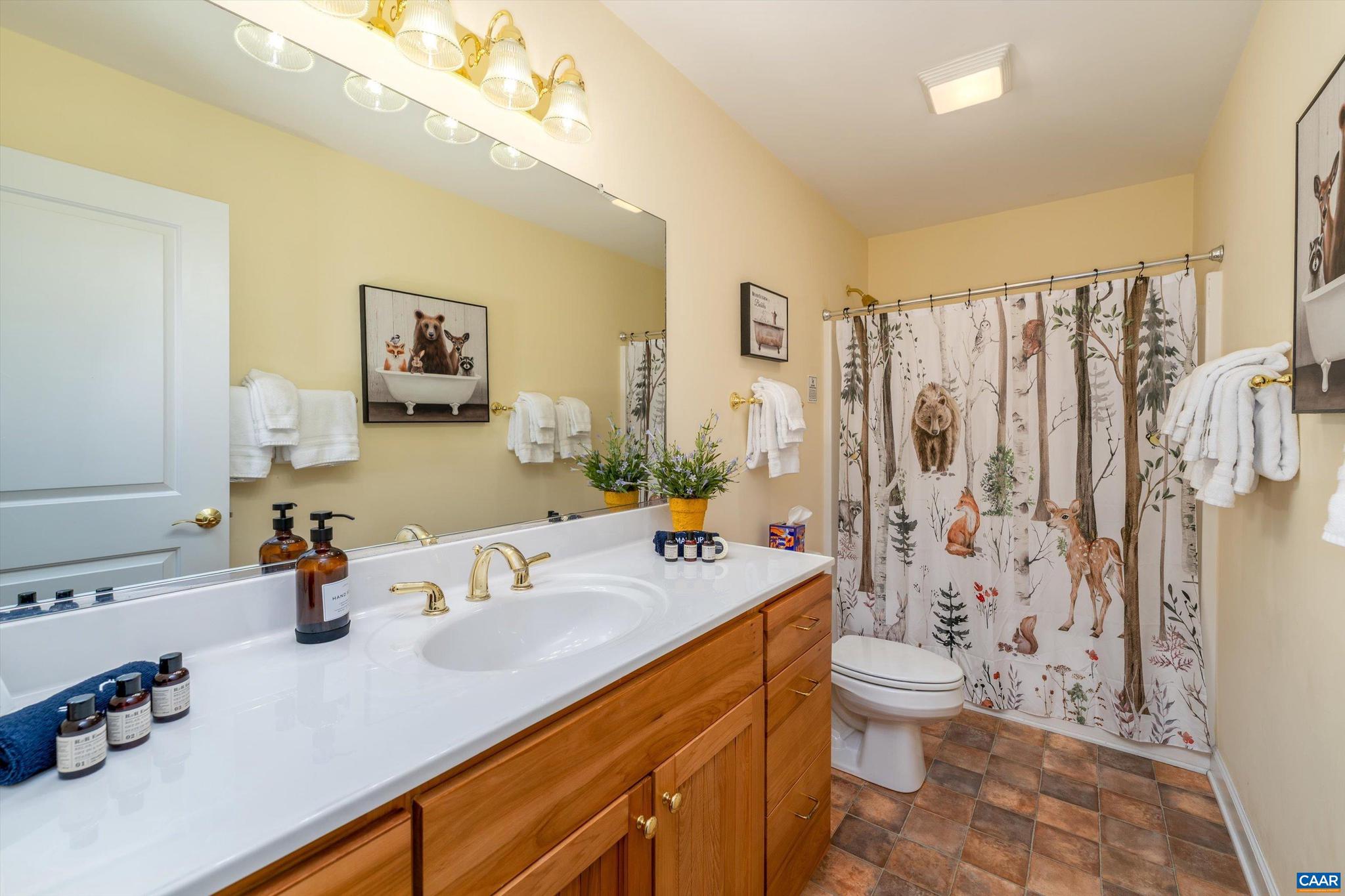 1244 Blue Ridge Drive Roseland, VA 22967 - Photo 55 of 58