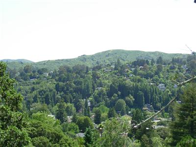 27 Hillcrest Road Mill Valley, CA 94941 - Photo 3 of 4 View of Ridgeline