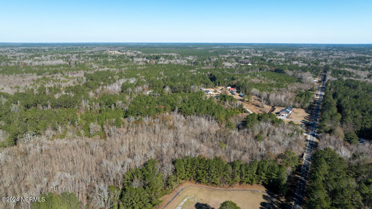 91 Rockfish Lake Road Maple Hill, NC 28454 - Photo 32 of 69 32