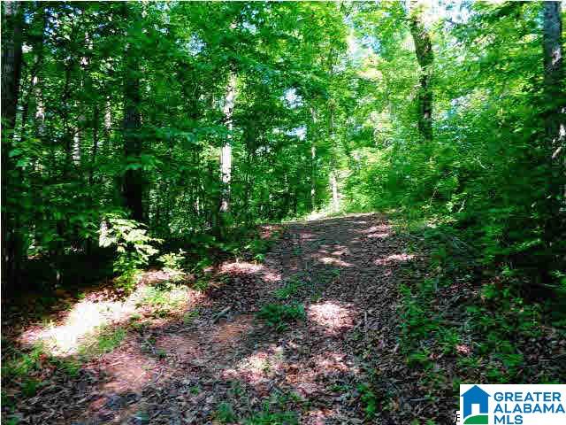 0 Riverview Drive, Unit 116 Cleveland, AL 35049 - Photo 15 of 30