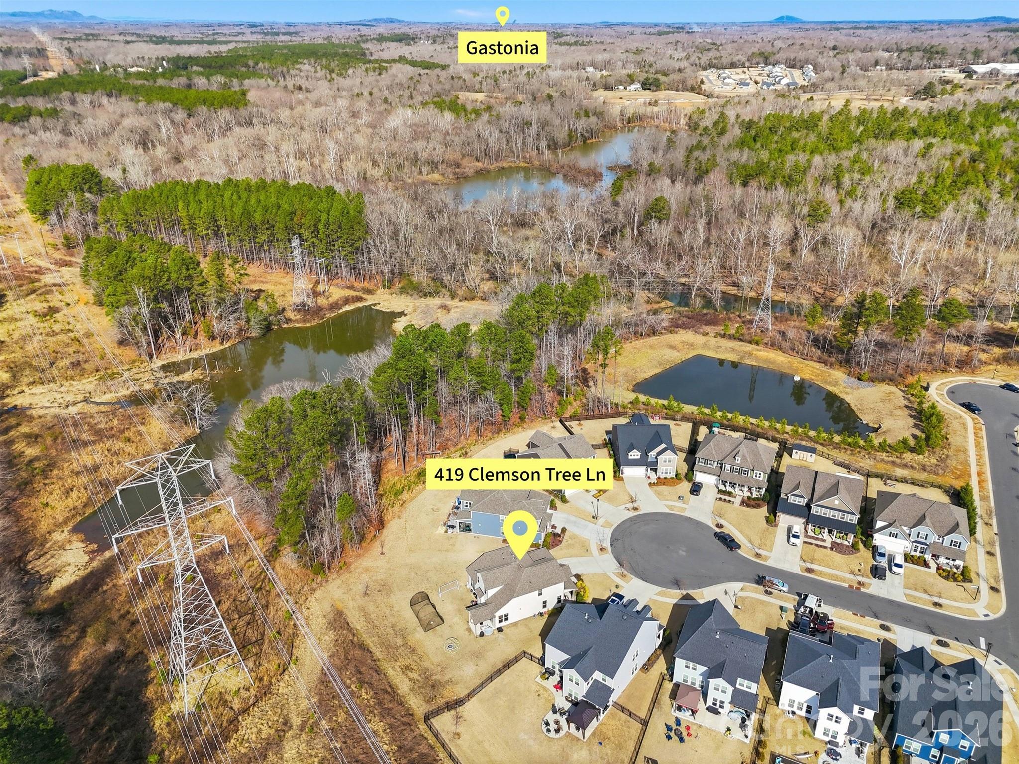 419 Clemson Tree Lane Clover, SC 29710 - Photo 45 of 48