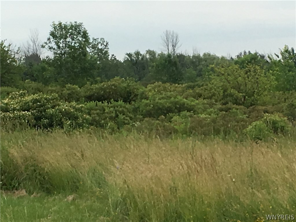 Lot #3 Shimerville Road Clarence Center, NY 14032 - Photo 1 of 1 Gallery Image 1
