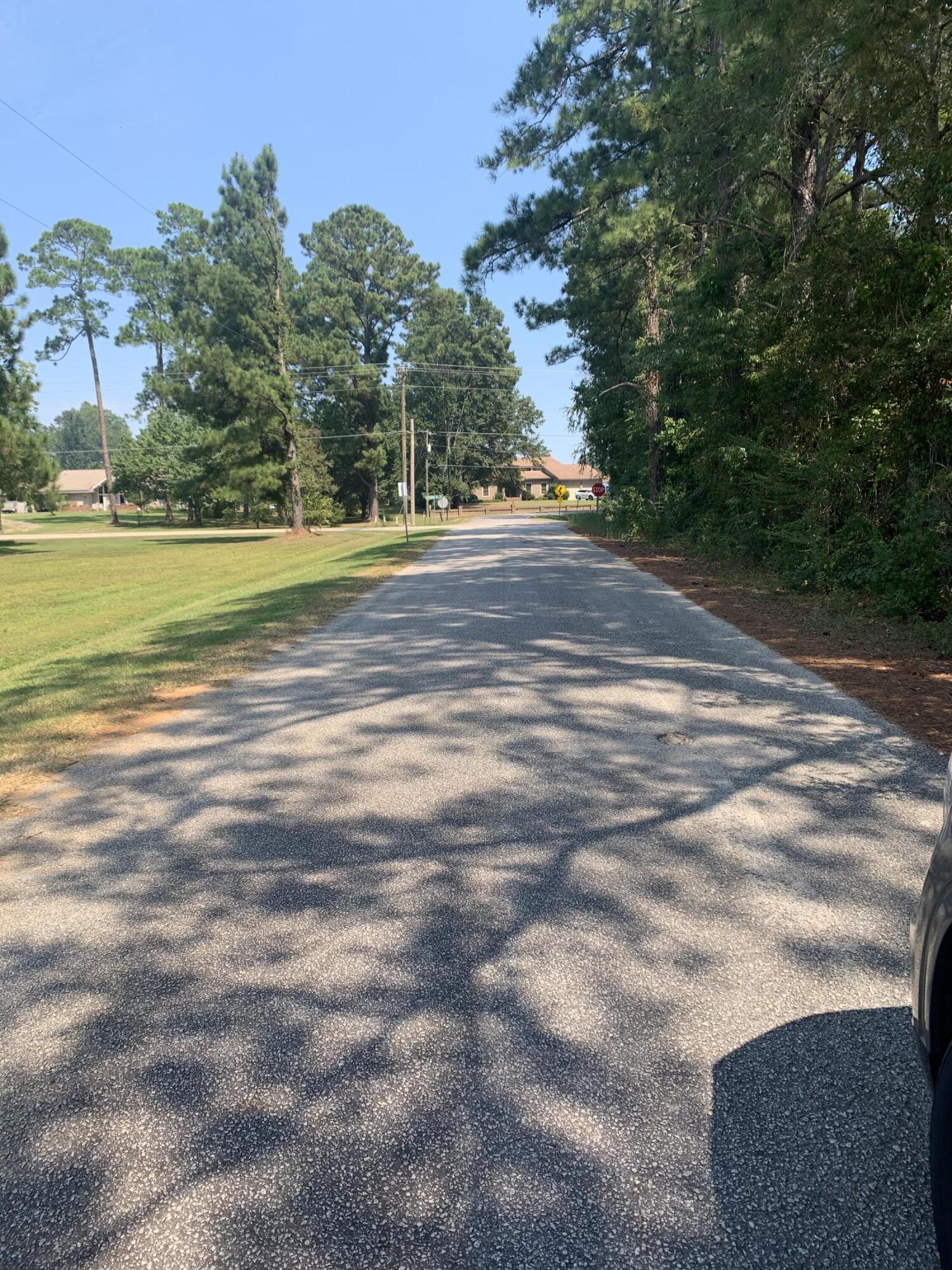 Tbd Tom Charles Road Summerton, SC 29148 - Photo 3 of 4 IMG_4245